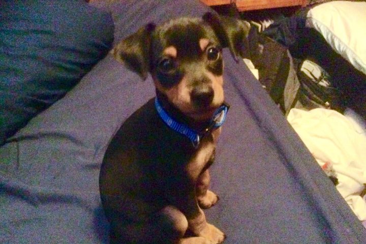 20141010_214224695_iOS